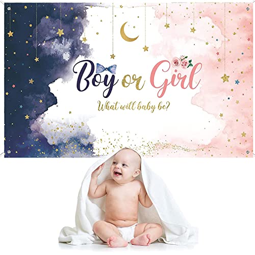 Gender Reveal Backdrop Banner | Watercolor Blue Pink Stars