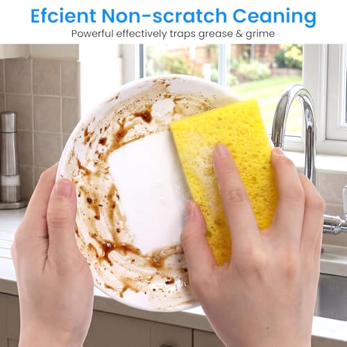 20-Pack Compressed Cellulose Sponges - Eco-Friendly Kitchen Cleaning