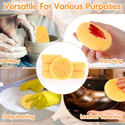 Natural Cellulose Kitchen Sponges - 12 Pack Eco-Friendly Dishwashing Sponges