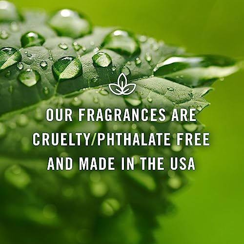 Christmas Wreath Scented Oil 100ml - Fragrance Oil for Candle Making & Diffusers - Variation of THIS listing