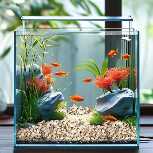 2000 PCS Natural Mini Sea Shells & 20 Starfish for Crafts and Vase Fillers