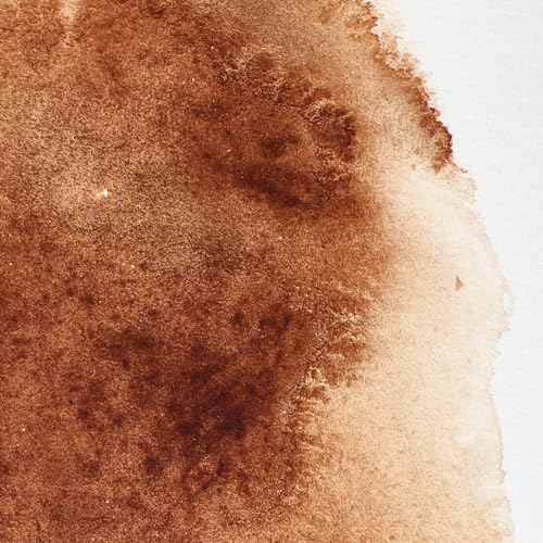 Winsor & Newton Professional Watercolor 14ml Tube - Burnt Umber