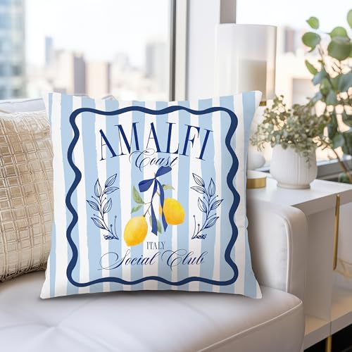 Nipil Blue Coastal Lemon Pillow Cover 18x18 Summer Mediterranean Decor
