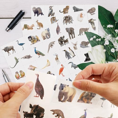 Fancy Land Jungle Animal Temporary Tattoos - 140 Safari Stickers for Party Favors
