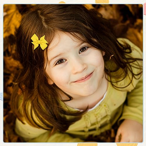 Hoewina 20PCS 2-Inch Baby Hair Bows and Alligator Clips for Toddlers