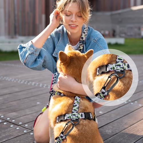 20 Pcs Mini Carabiner Clip, 1.2 Inch Tiny Spring Snap Hook Keychains, Black Mini Carabiner for Outdoor Hiking Fishing Camping Backpack Accessories