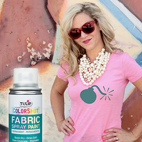 TULIP ColorShot Fabric Spray Paint Matte Teal 3 oz - Washable & Quick-Dry