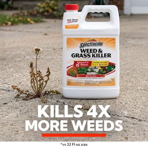 Spectracide Weed & Grass Killer Concentrate - 1 Gallon for Driveways & Walkways
