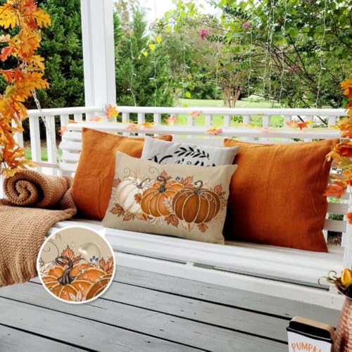 RABUSOFA Fall Outdoor Pillow Cover 12x20 Waterproof Pumpkin Thanksgiving Orange
