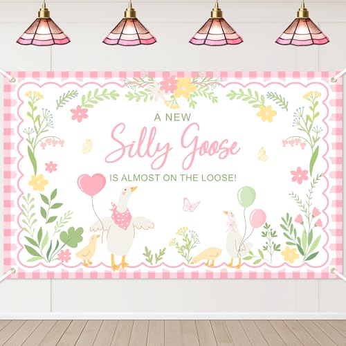 Silly Goose Baby Shower Banner - Pink Plaid Floral Backdrop (6x3.6ft)