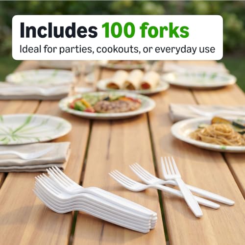 Amazon Basics Disposable Plastic Forks - 100 Count, BPA Free