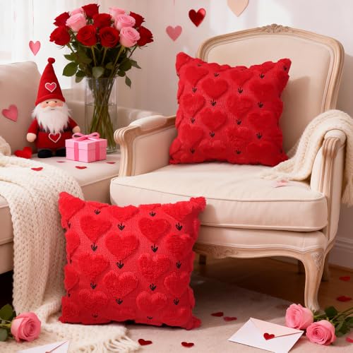 Valentine's Day Pillow Covers Set of 2, 18x18 Inch Red Heart Plush