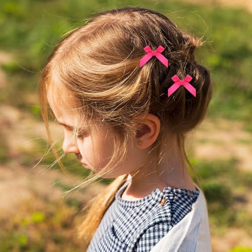 50-Piece Mini Hair Bow Clips Small Ribbon Hair Barrettes for Women and Girls