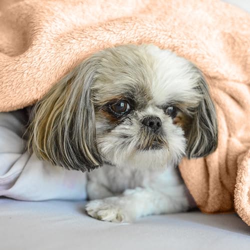 Cozy Reversible Throw Blanket - Lightweight 30x40 Inches - TAYHAA
