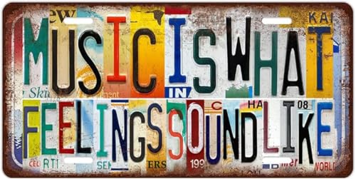 Music Is What Feelings Sound Like Retro Metal Tin Sign, 12x6 Inch, Multicolor