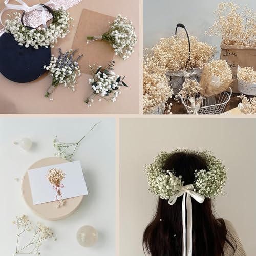Dried Baby's Breath Bouquet - Pure White Gypsophila Flowers for DIY Decor