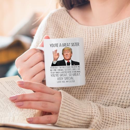 Funny Sister Mug - You're A Great Sister 11oz Ceramic Coffee Cup Gift