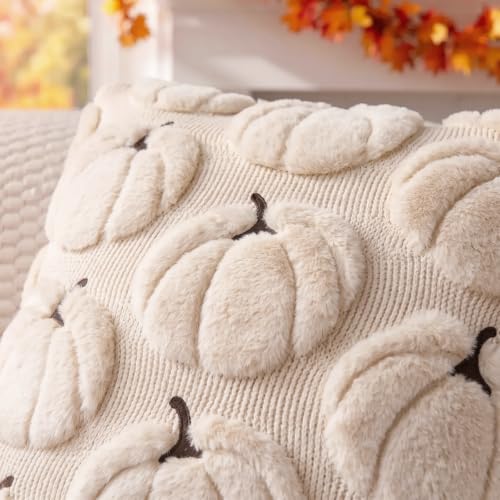DANGEAB Fall Pumpkin Pillow Covers 18x18, Beige Set of 2 Autumn Decor