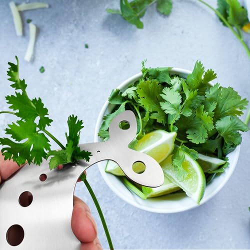Stainless Steel Herb Stripper Tool with 10 Holes for Kitchen Use