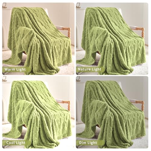 Sage Green Bunny Checkered Throw Blanket, 50"x60" - Soft & Cozy