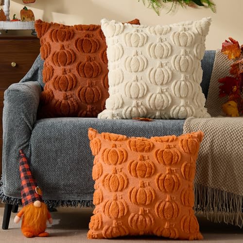 DFXSZ Rust Fall Pumpkin Throw Pillow Covers, 18x18 Soft Plush Set of 2