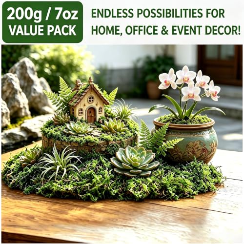 Natural Green Faux Moss - 200g Artificial Moss for DIY Decor
