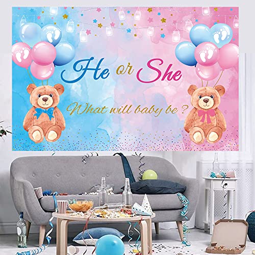 He or She Gender Reveal Bear Backdrop Banner - 70.8" x 47.2"
