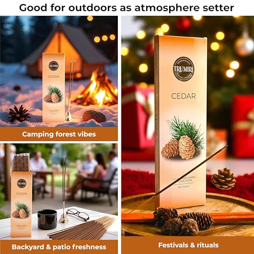 Cedar Incense Sticks - Pack of 100 - Natural & Non-Toxic Aroma
