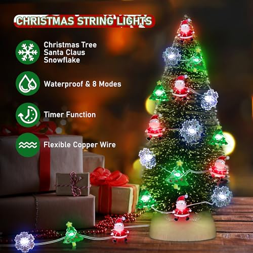 Christmas String Lights 10 FT 30 LED Battery Operated Fairy Lights with Red Green White Variations
