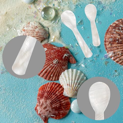 Natural Pearl Caviar Spoons - 2.75 Inch Mini Dessert Spoons