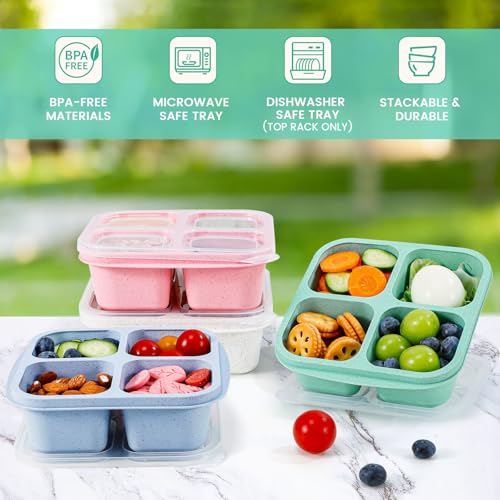 Caperci Bento Snack Boxes with Clear Lids - 4 Pack Eco-Friendly Containers