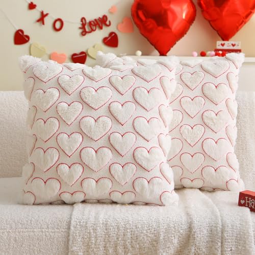 Valentine's Day Heart Pillow Covers - Set of 2 Red 18x18 Inch Plush Cases