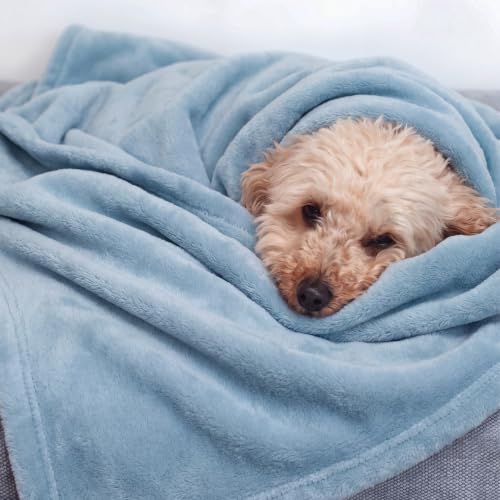 Bedsure Fleece Throw Blanket 50x70 XL, Lightweight Plush Sofa Blanket - Blue