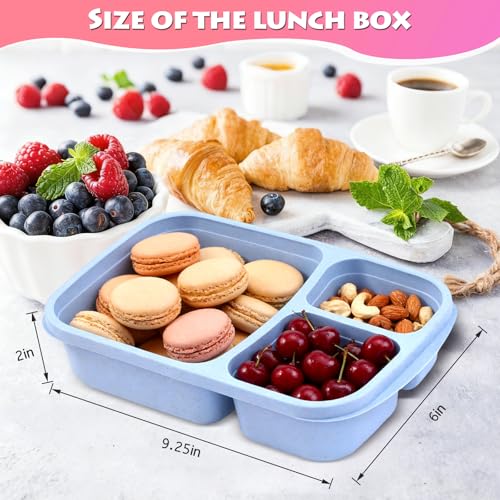 4 Pack Reusable 3-Compartment Lunch Box Set - Light Color