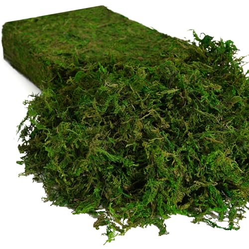 8oz Realistic Fake Green Moss for Crafts & Indoor Plants