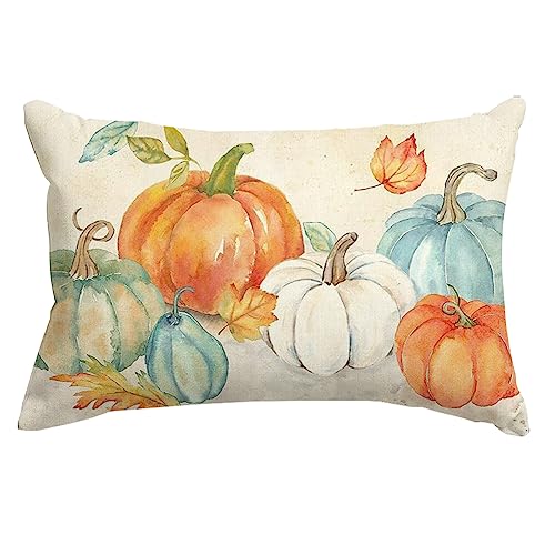 RABUSOFA Fall Pumpkin Pillow Cover, 12x20 Inch Autumn Thanksgiving Decor