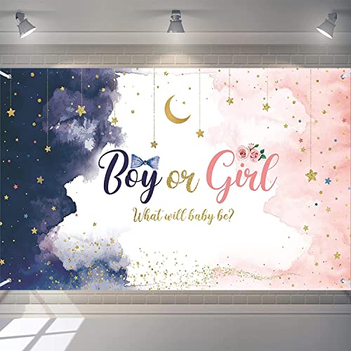 Gender Reveal Backdrop Banner | Watercolor Blue Pink Stars