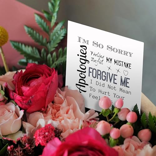 Apology Greeting Card with Envelope - 3dRose 5.5x5.5 Inches
