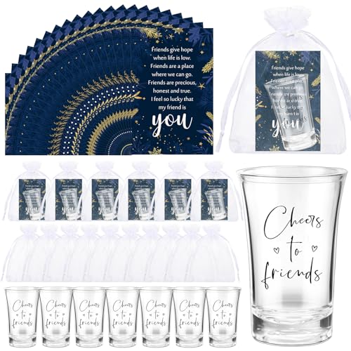 Roshtia Classic 18-Pack Christmas Shot Glasses Set with Thank You Cards & Organza Bags