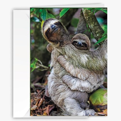 Heartwarming Sloth Greeting Card - 5x7 Blank for Any Occasion