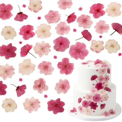 50PCS Pink Flower Cake Decorations - Natural Sakura Toppers
