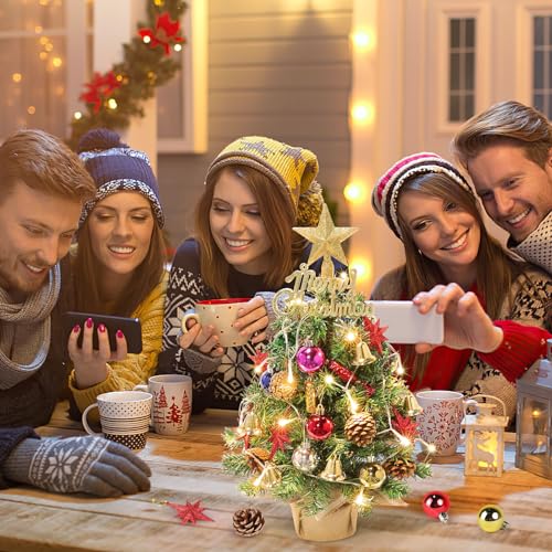 Mini Christmas Tree with Lights & Star Topper - Octagonal Star Variation 21.65in