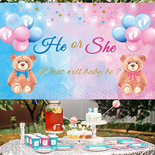 He or She Gender Reveal Bear Backdrop Banner - 70.8" x 47.2"