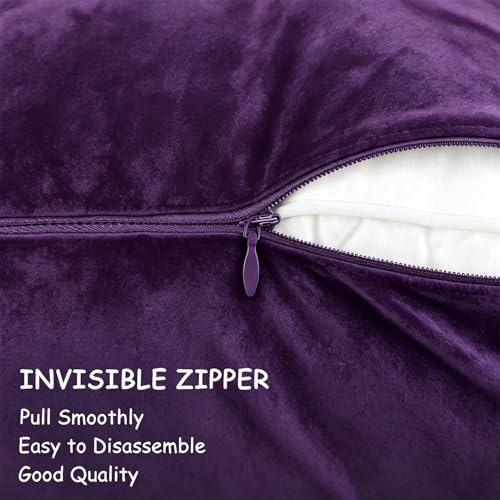 Bunliuys 2 Pack 18x18 Velvet Throw Pillow Covers - Eggplant Purple