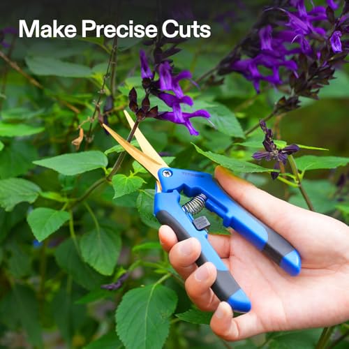 VIVOSUN 6.5 Inch Pruning Shears - Ergonomic Garden Scissors, 12-Pack with Curved Stainless Steel Blades for Precision Trimming