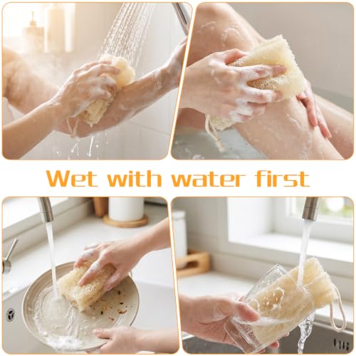 Natural Loofah Sponge 2-Pack Organic Exfoliating Body Scrubber for Shower