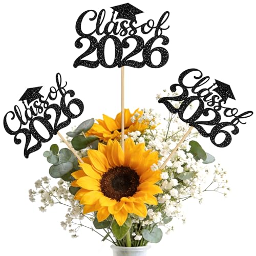 Class of 2026 Graduation Cake Toppers & Centerpieces Kit - 12PCS
