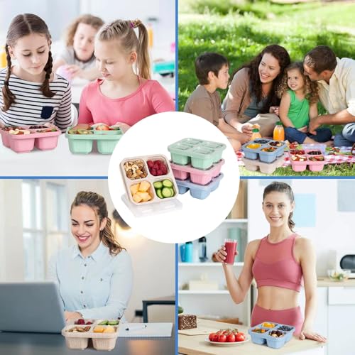 BE OVER QUALITY 4-Pack Bento Box, 4-Compartment Lunch Containers - Multicolor