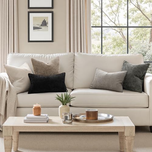 MIULEE Chenille Throw Pillow Covers 18x18 Inch - 2 Pack, Beige