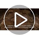 Bee's Wrap ReKindle Natural Fire Starters - 25 Uses for Indoor & Outdoor